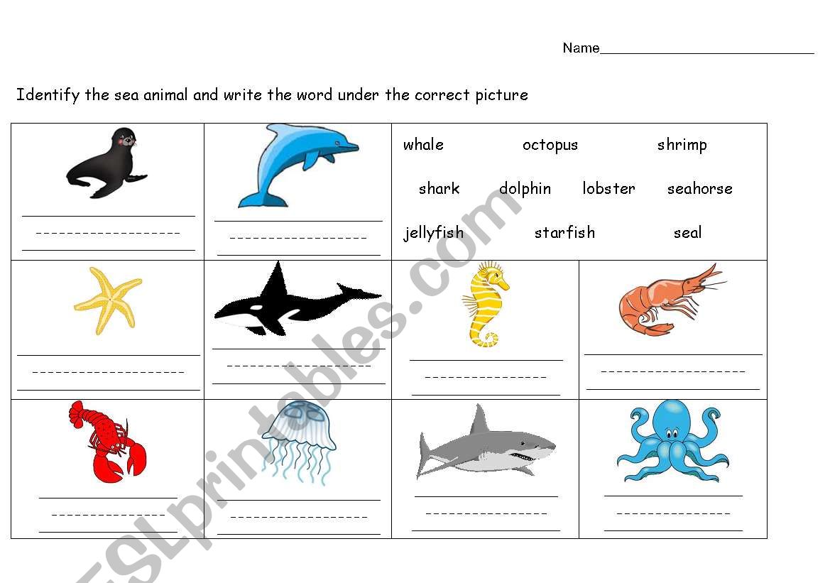 Sea Animals Writing worksheet