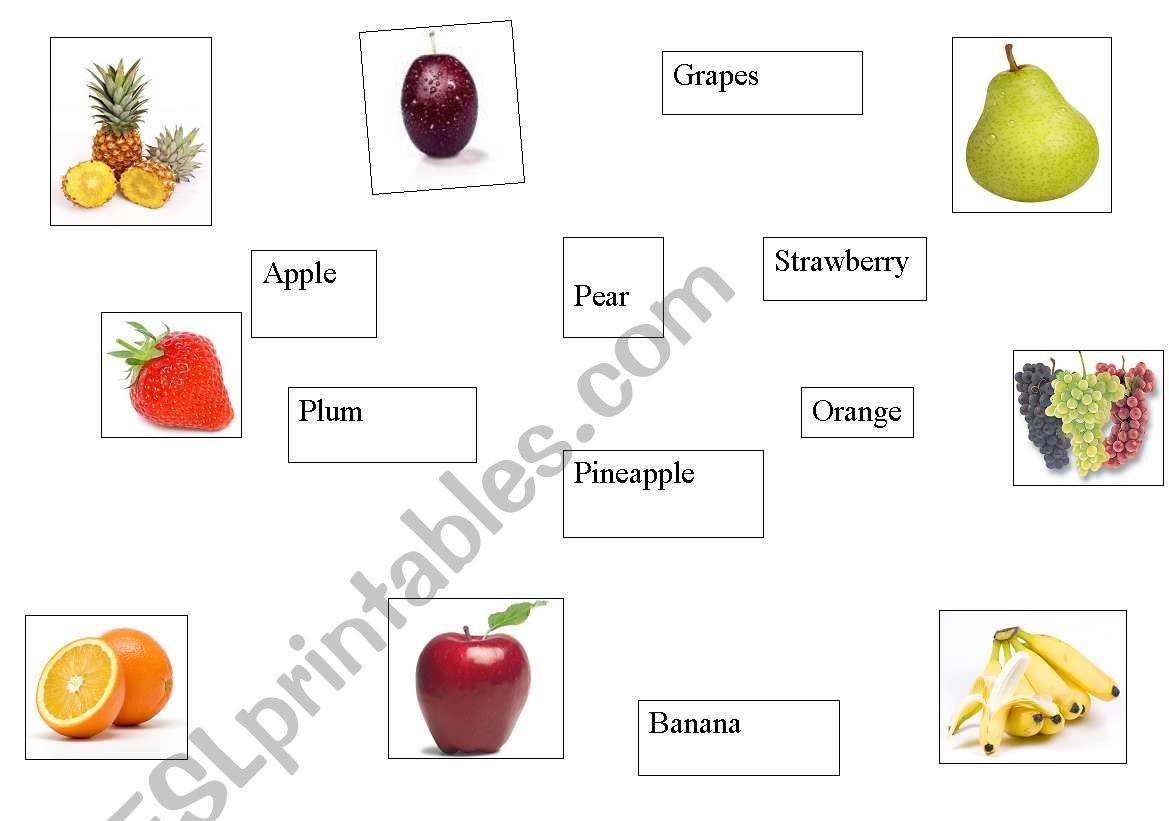 match the fruits worksheet