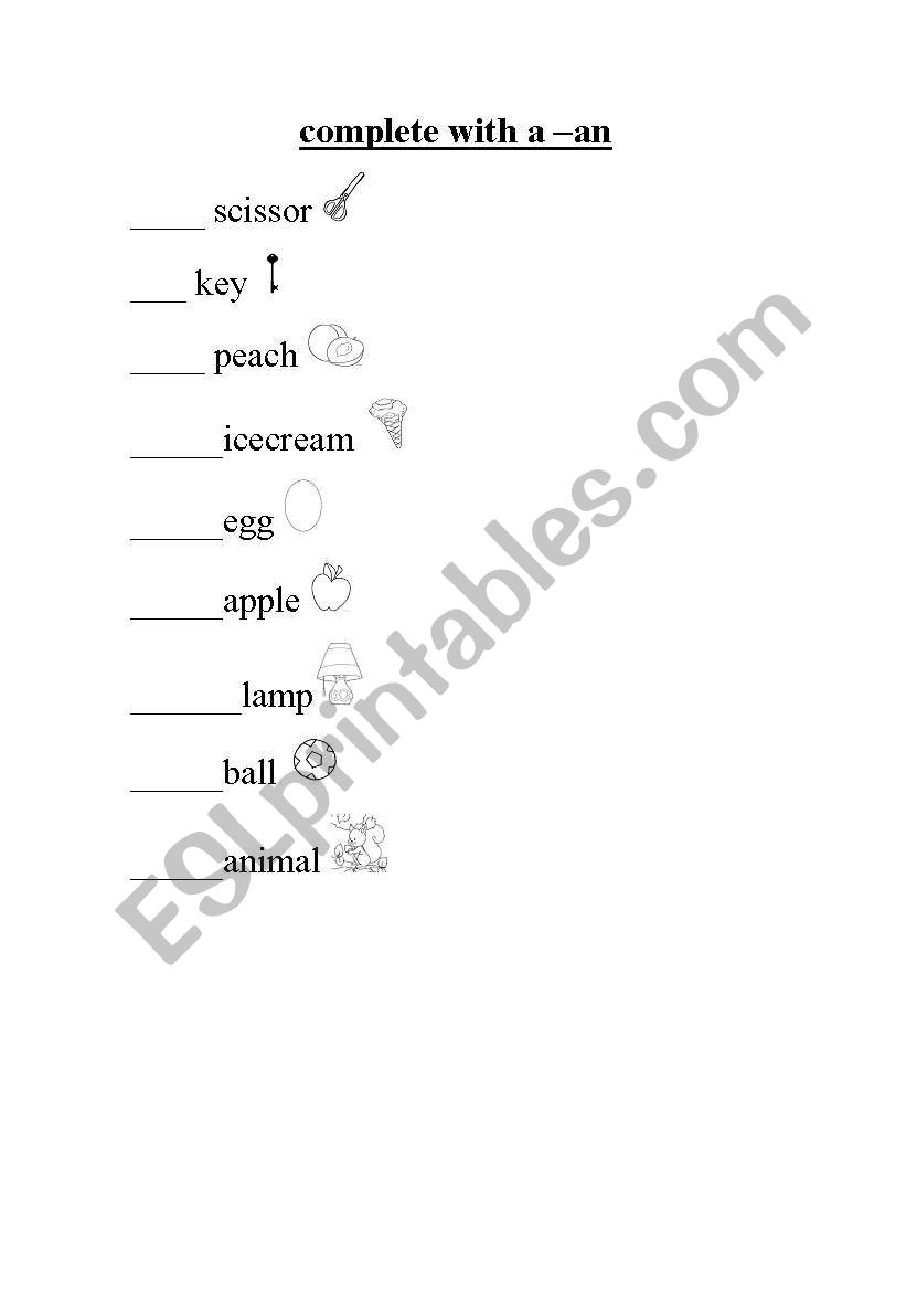 a-an worksheet