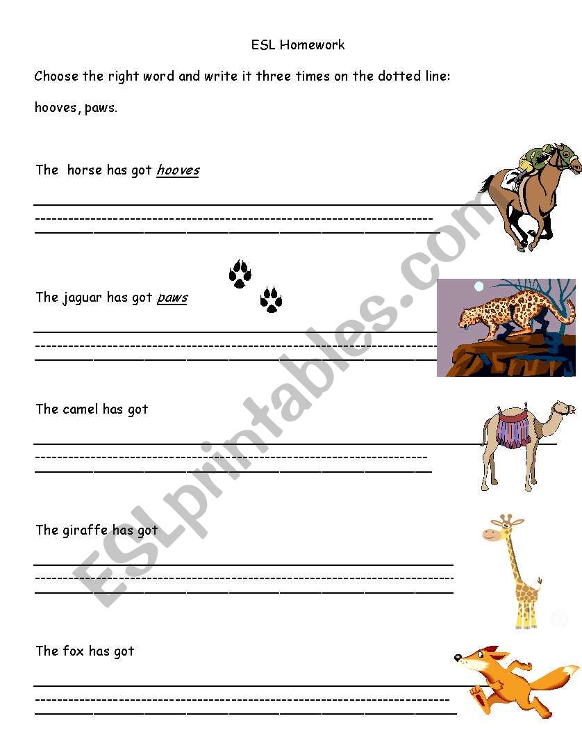 Animal Body Hooves or Paws worksheet