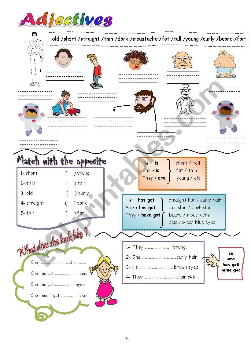 opposite adjectives worksheet