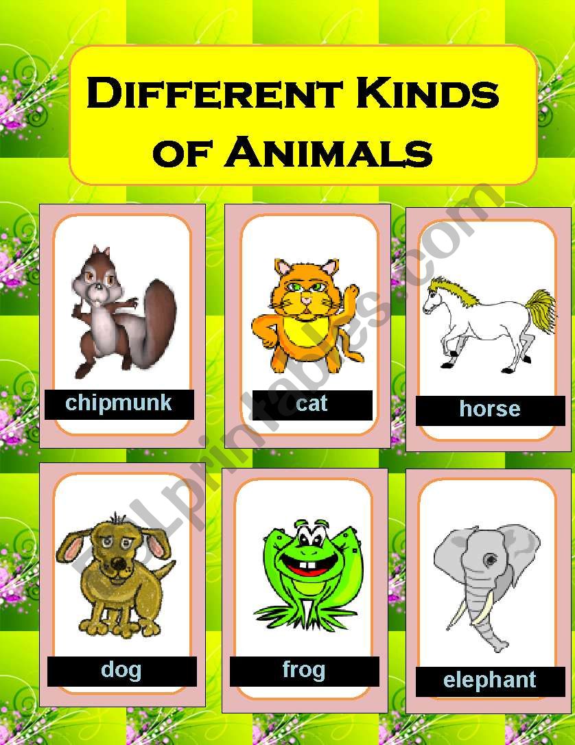 Different kinds of Animals worksheet