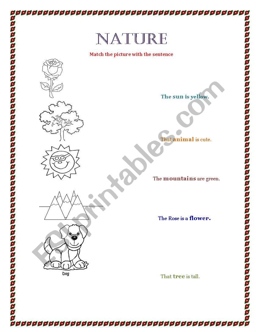 NATURE worksheet