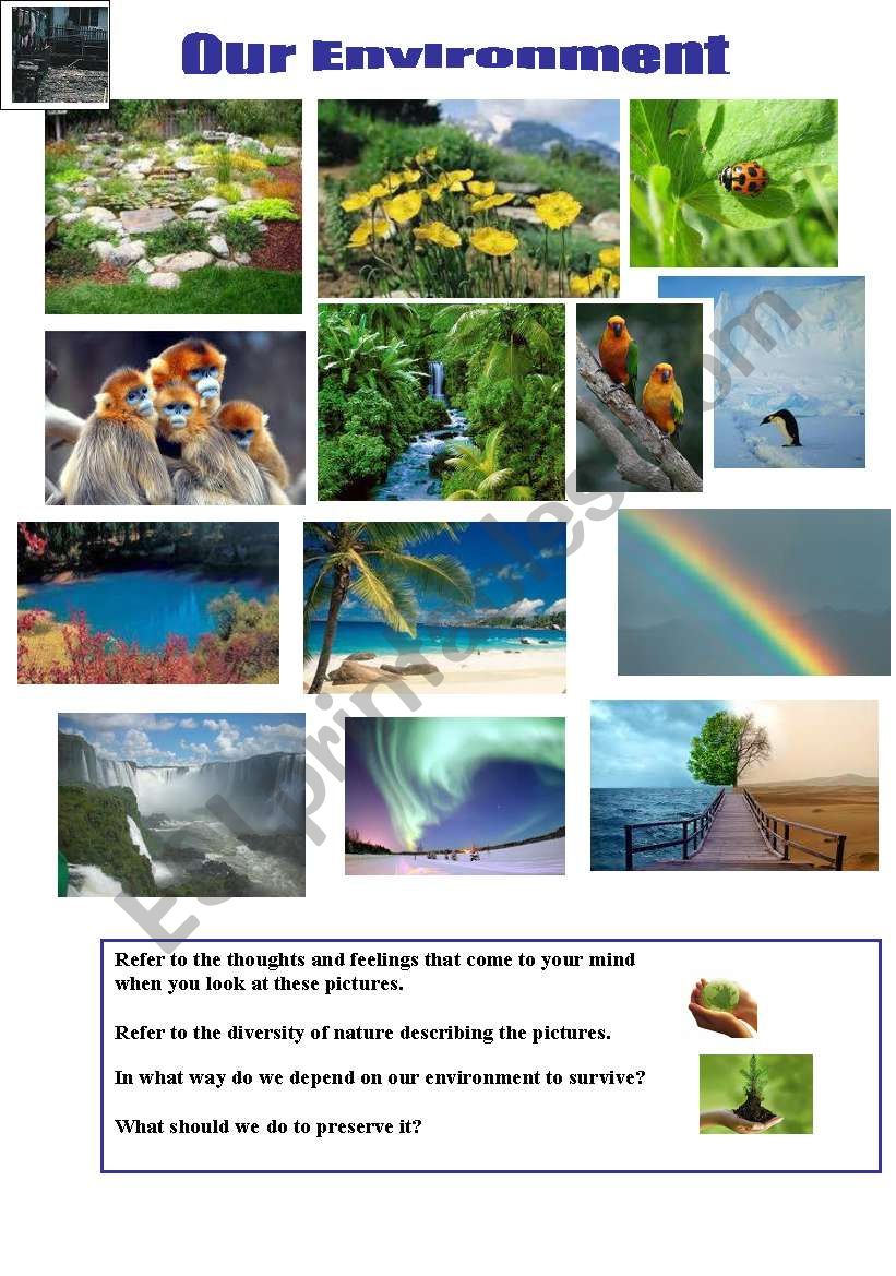 What a beautiful world! worksheet