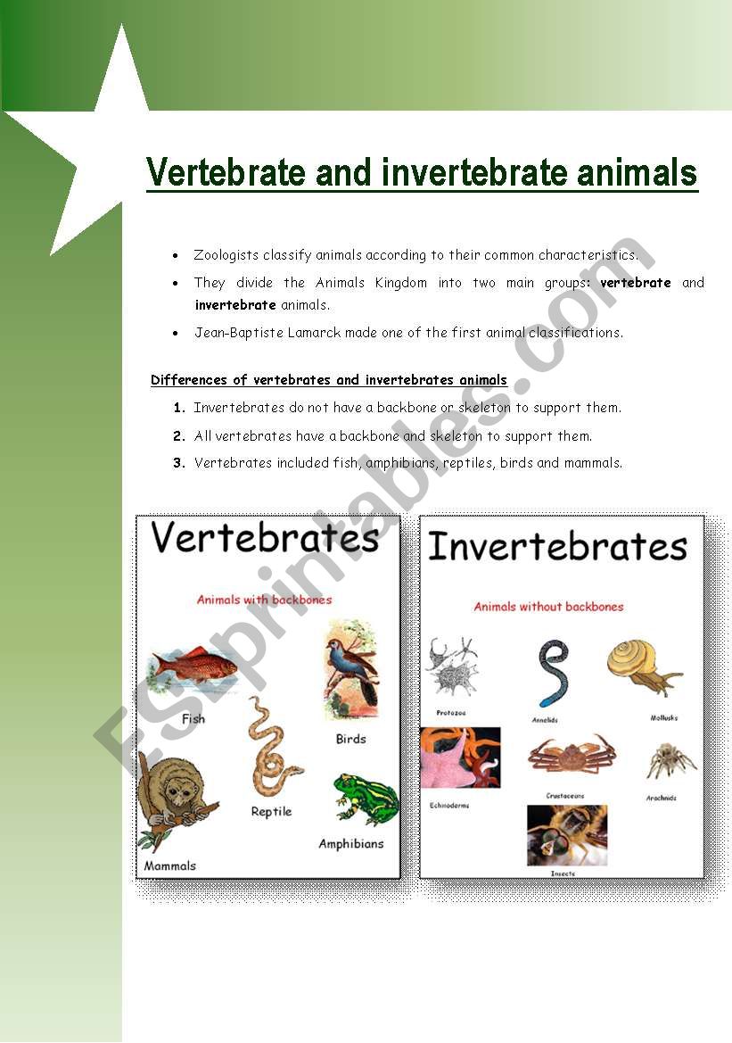 Vertebrate & invertebrate animals