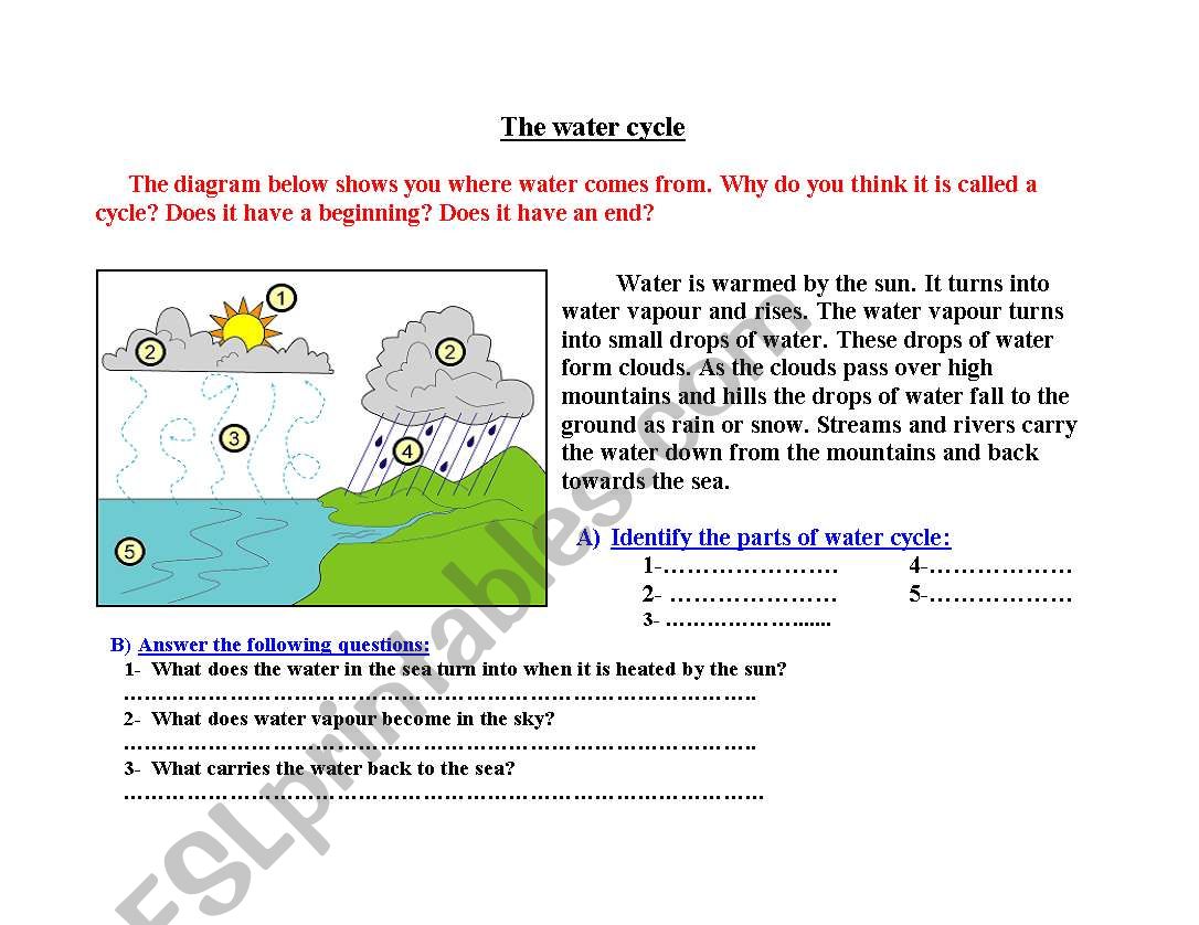 The Water cycle worksheet