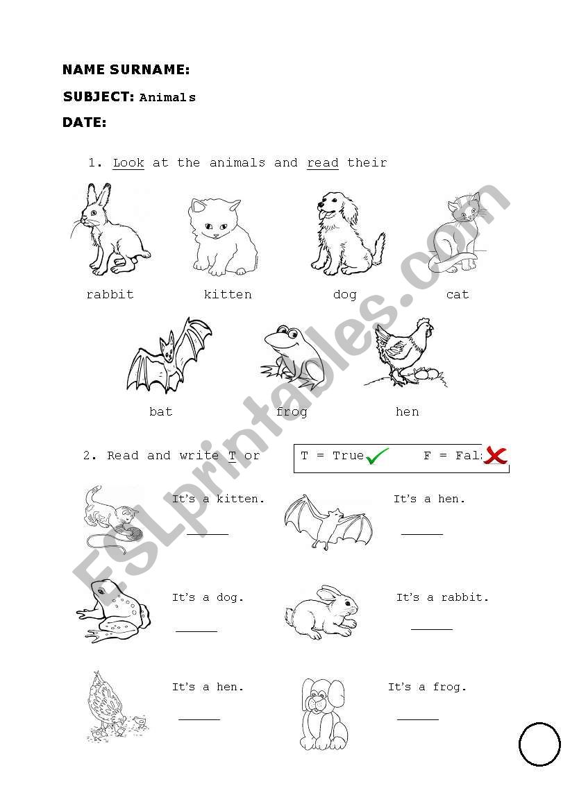 Animals worksheet