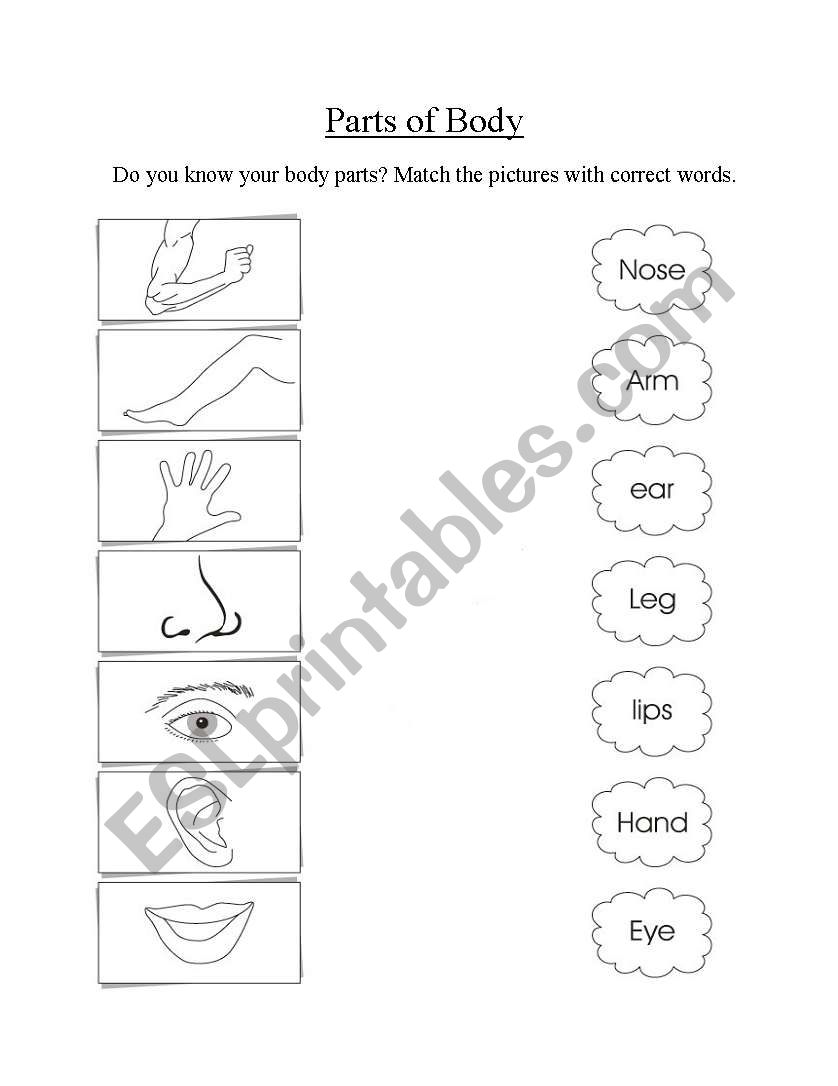 Parts of Body worksheet