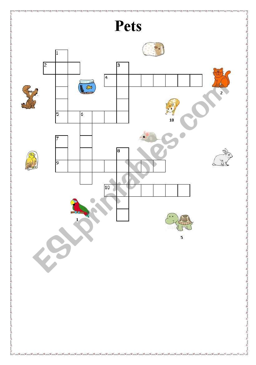 pets crosswords worksheet