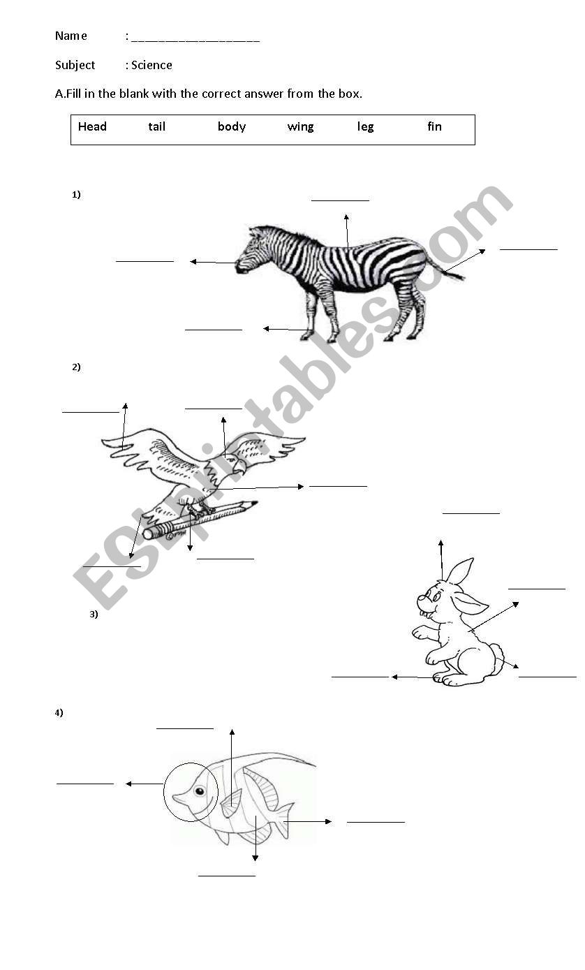 animal parts-how they move worksheet