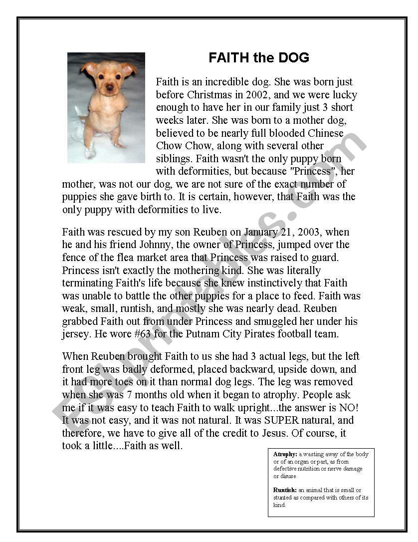 faith the dog worksheet