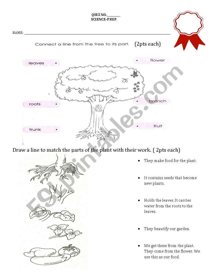 parts of the tree worksheet