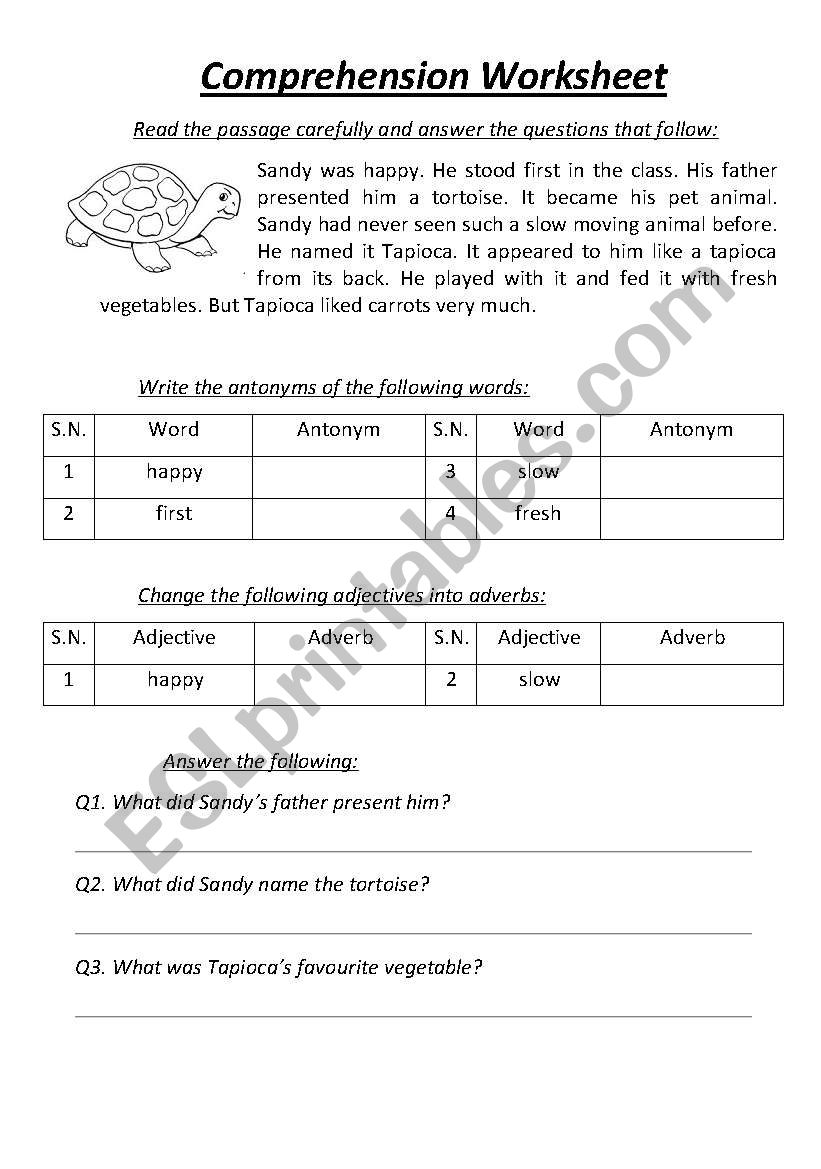 Comprehension Worksheet worksheet