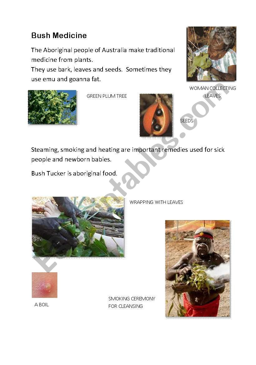 Bush Medicine worksheet