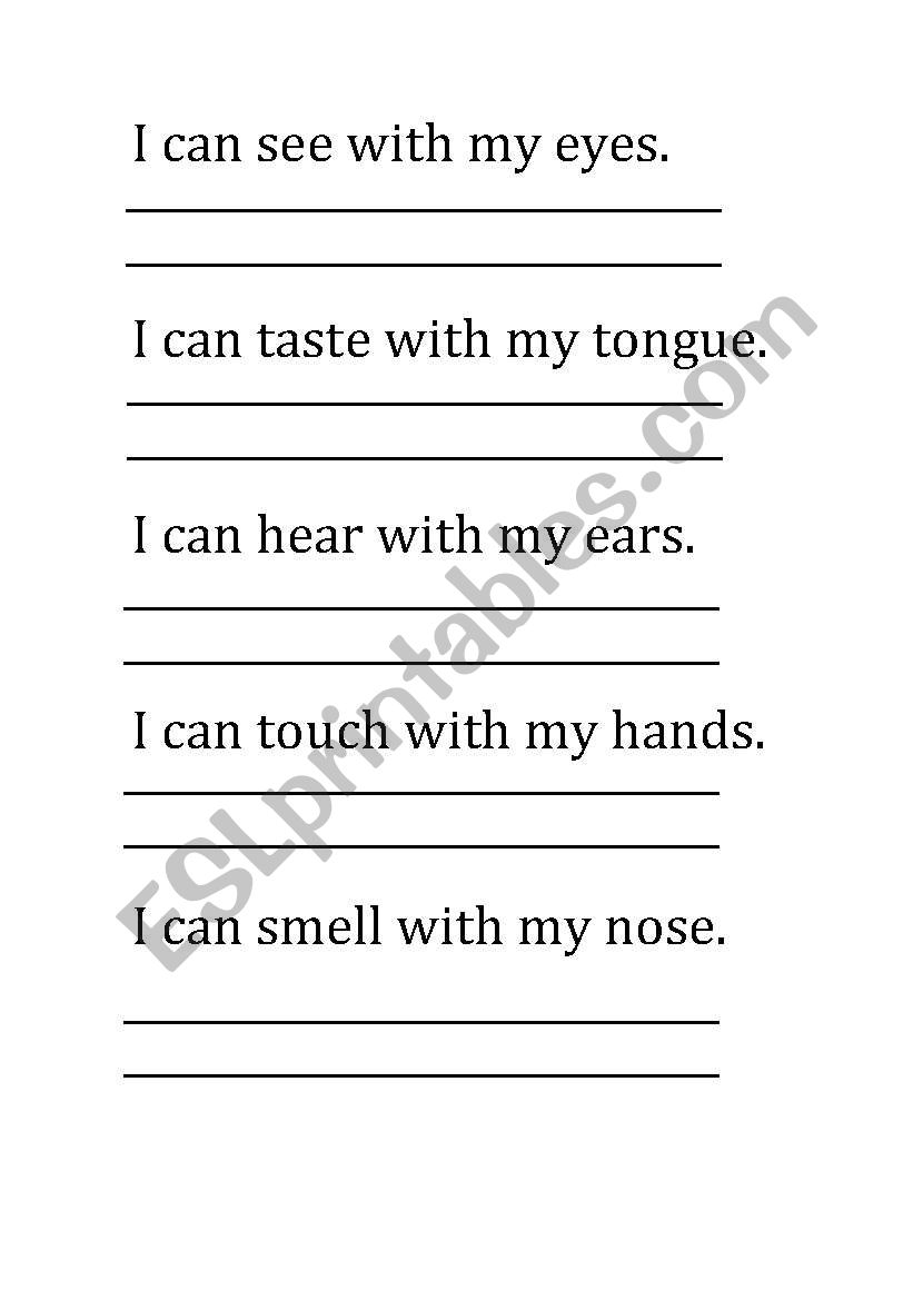 Senses worksheet