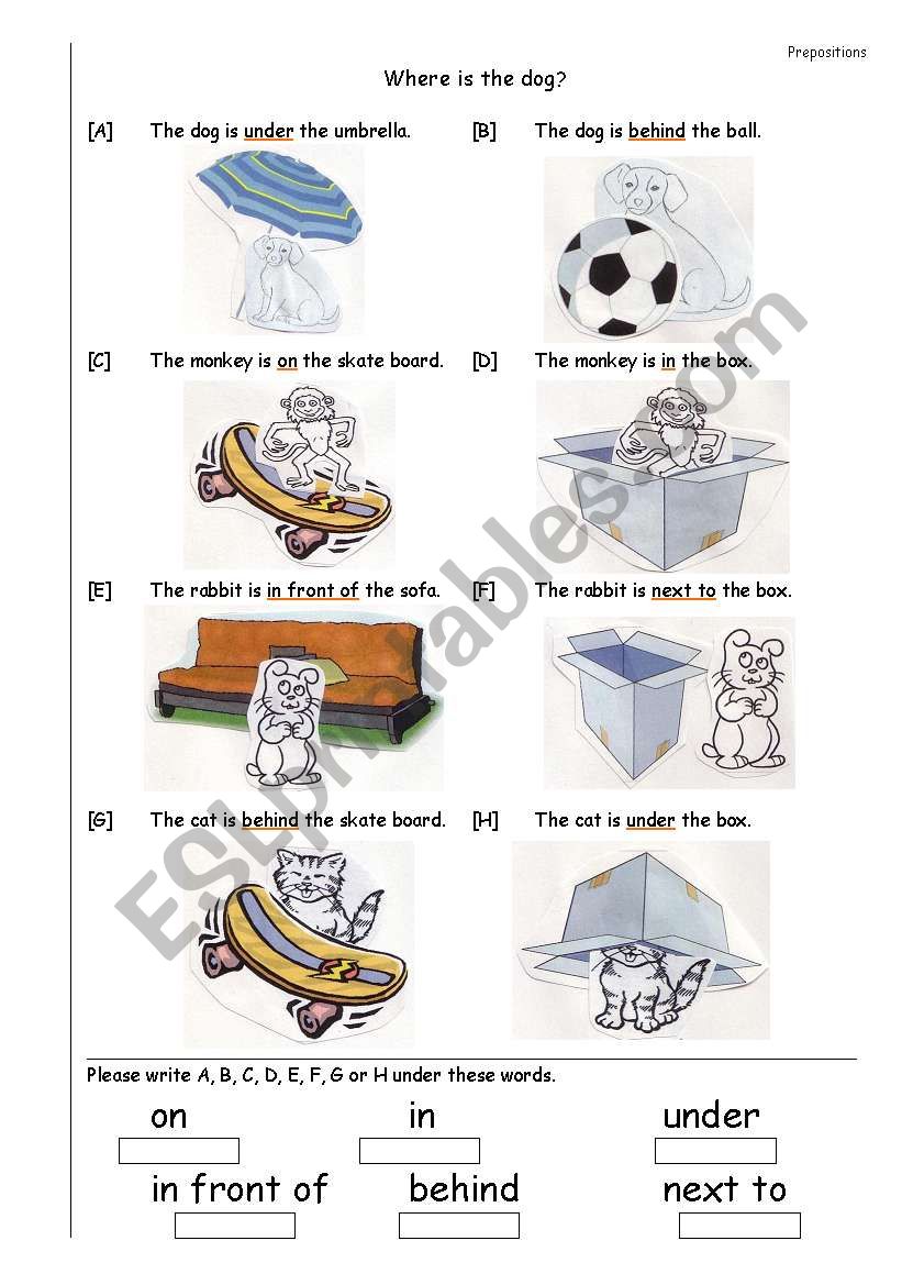 Prepositions Of Place in On Under In Front Of Behind Next To 