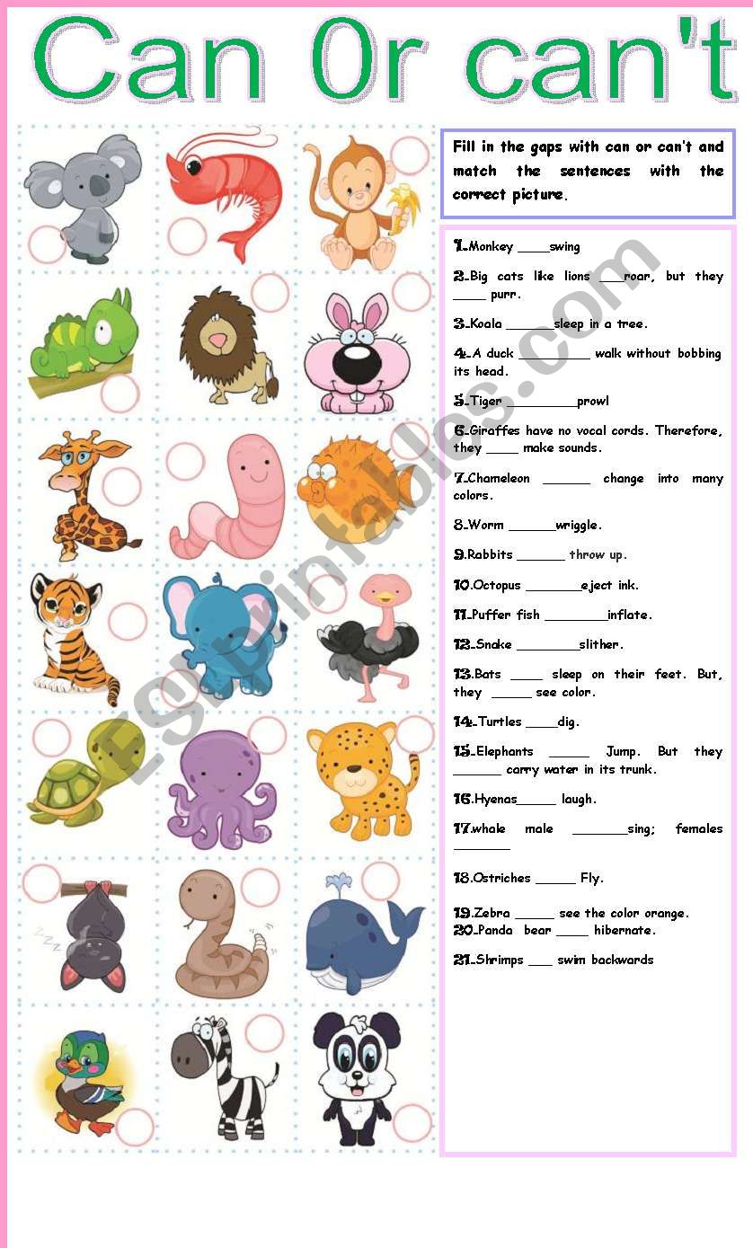 Can or canÂ´t ability worksheet