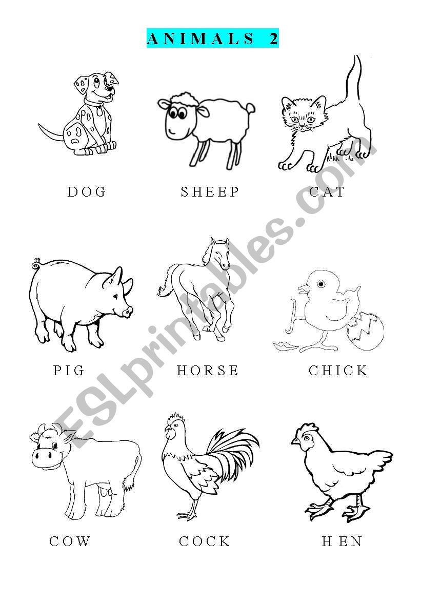 ANIMALS 2 worksheet