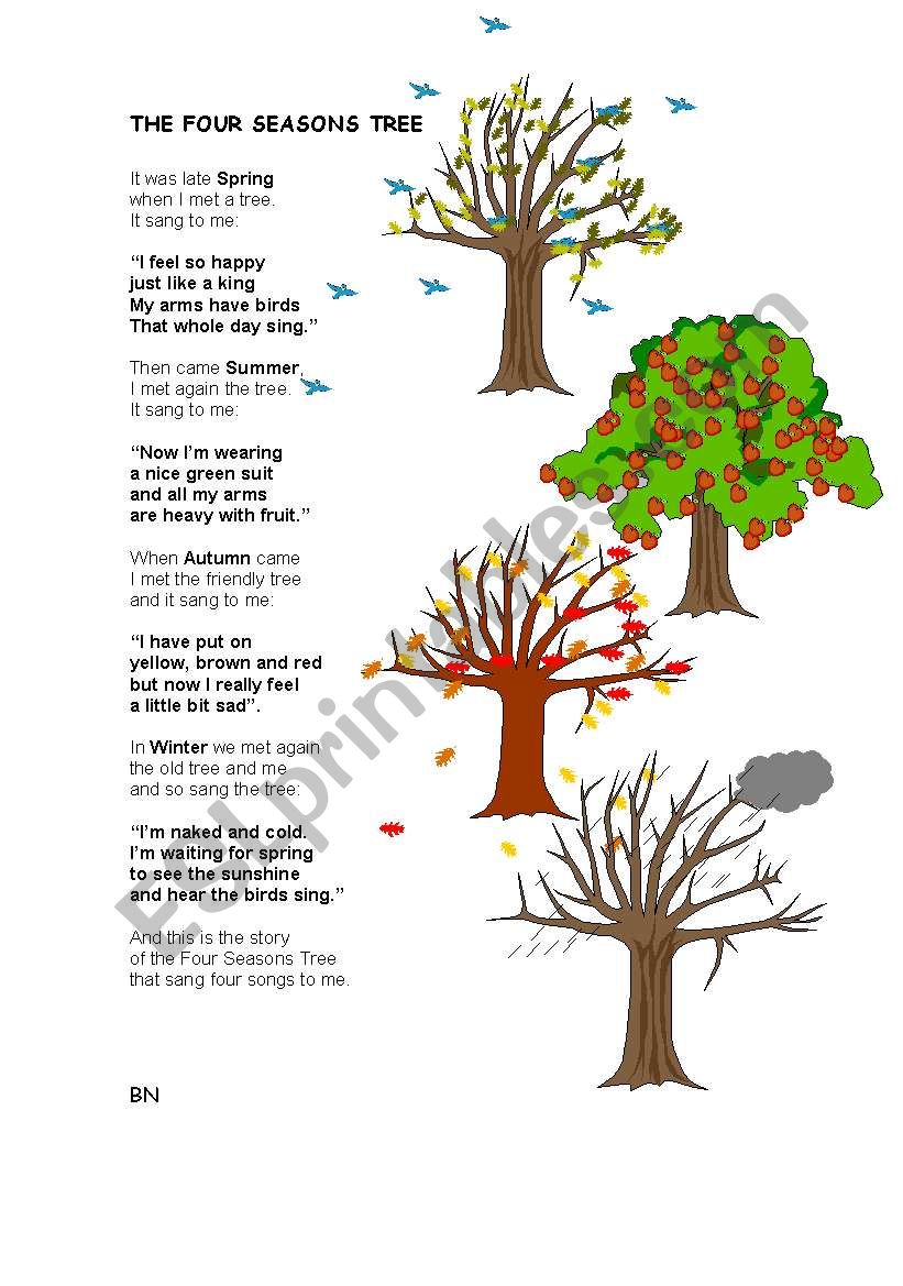 The four seasons tree worksheet