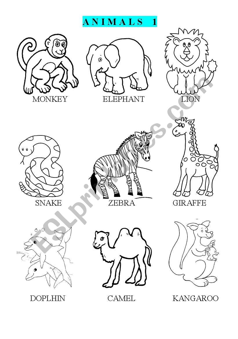 ANIMALS 1 worksheet