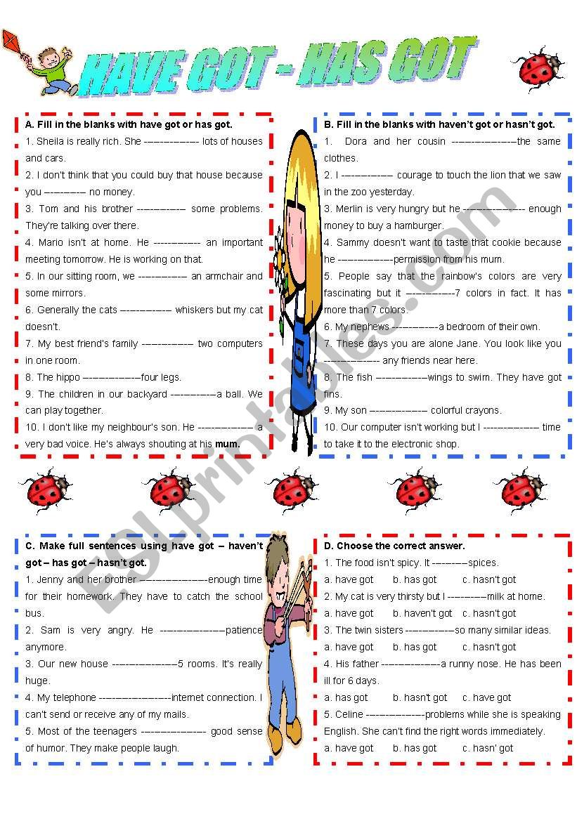 HAVE GOT -  HAS GOT worksheet