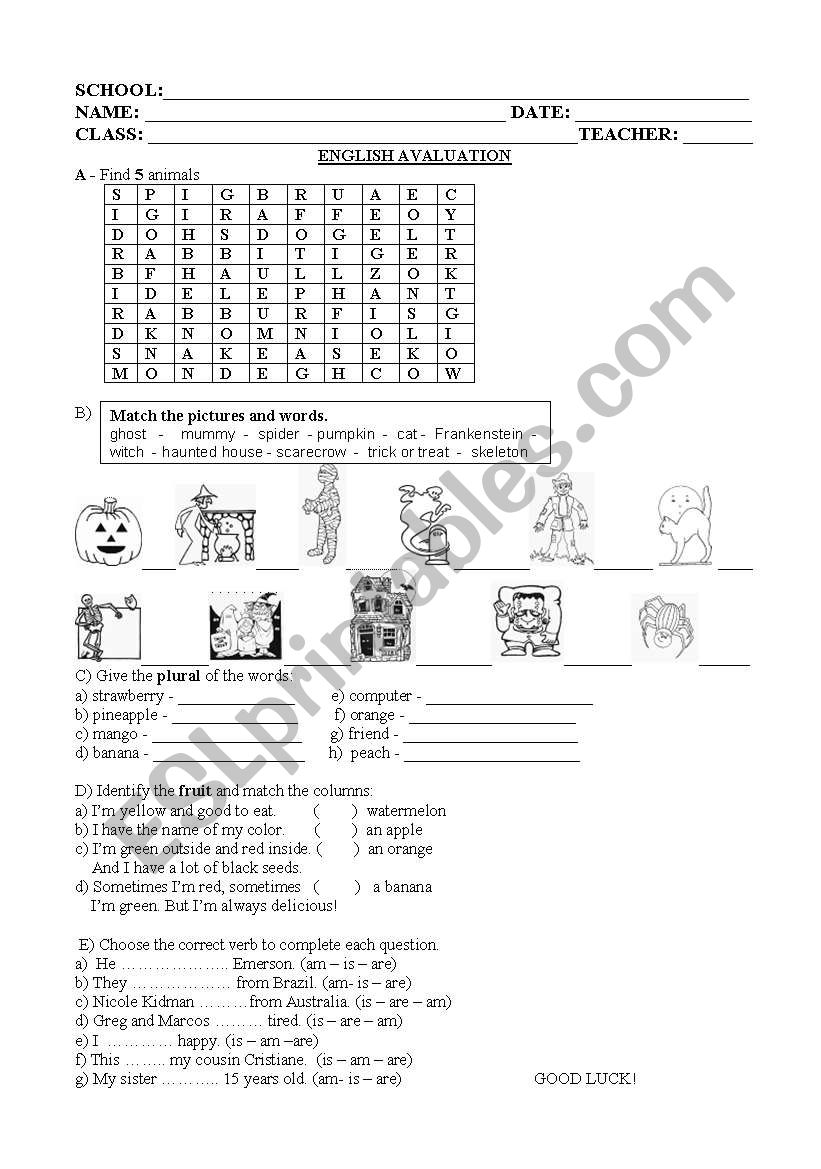 5th grade - activities worksheet