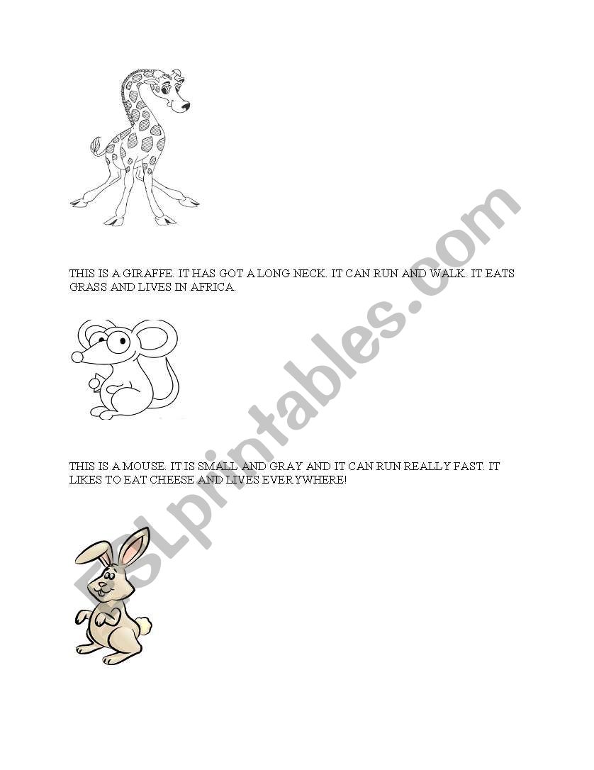 animals worksheet