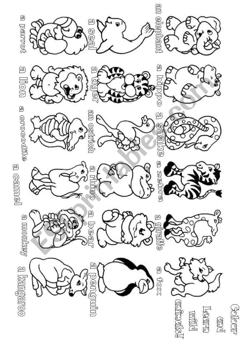   wild animals worksheet