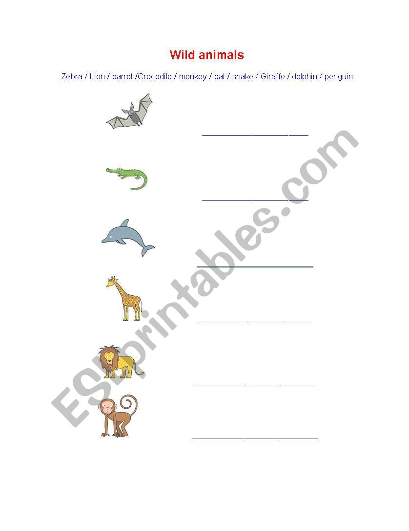 animals worksheet