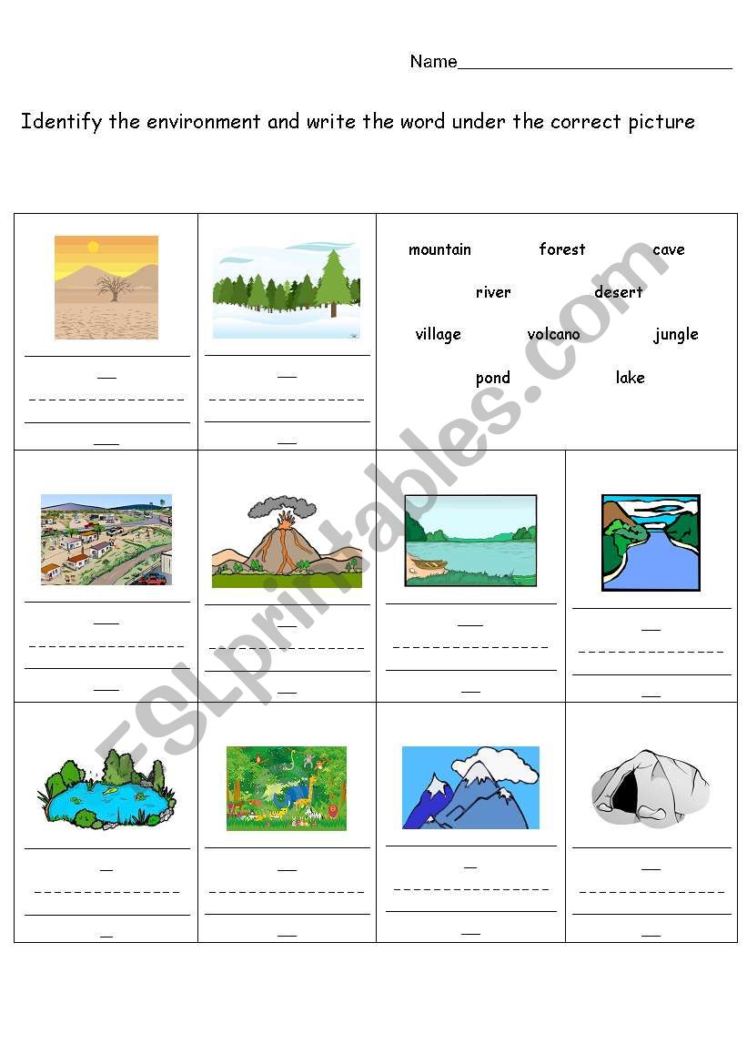 Environment worksheet