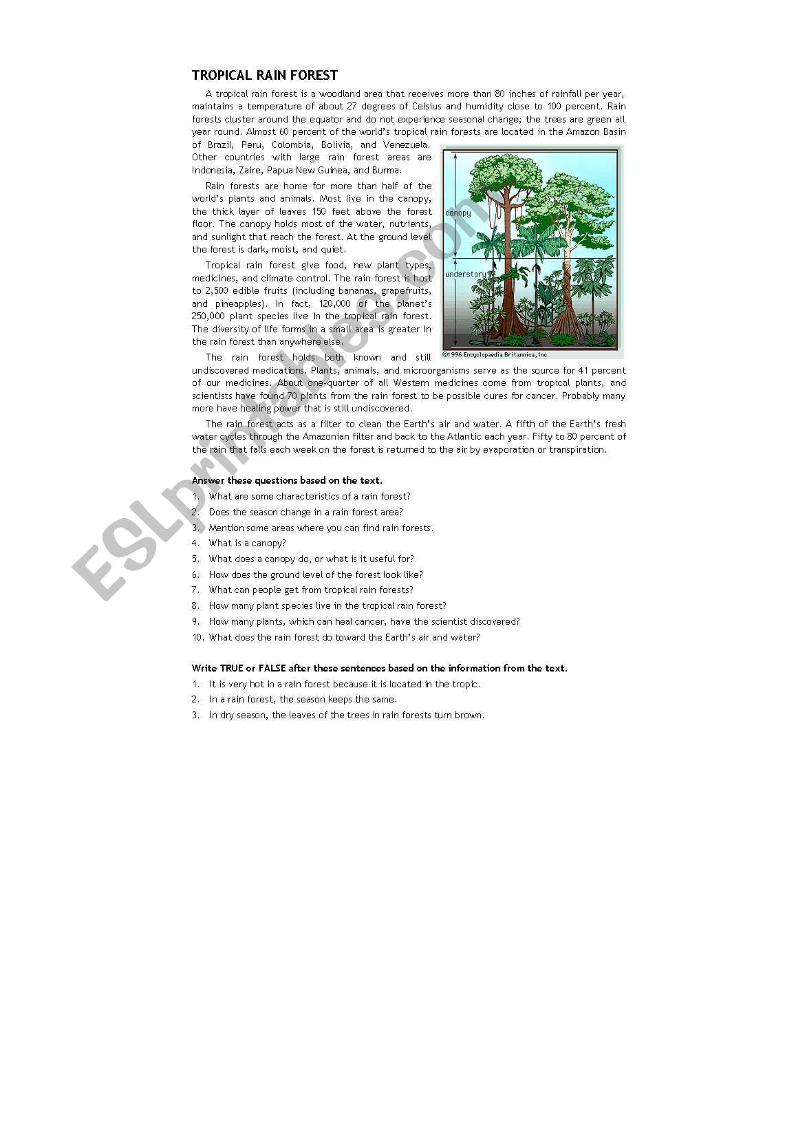 Tropical Rainforest worksheet