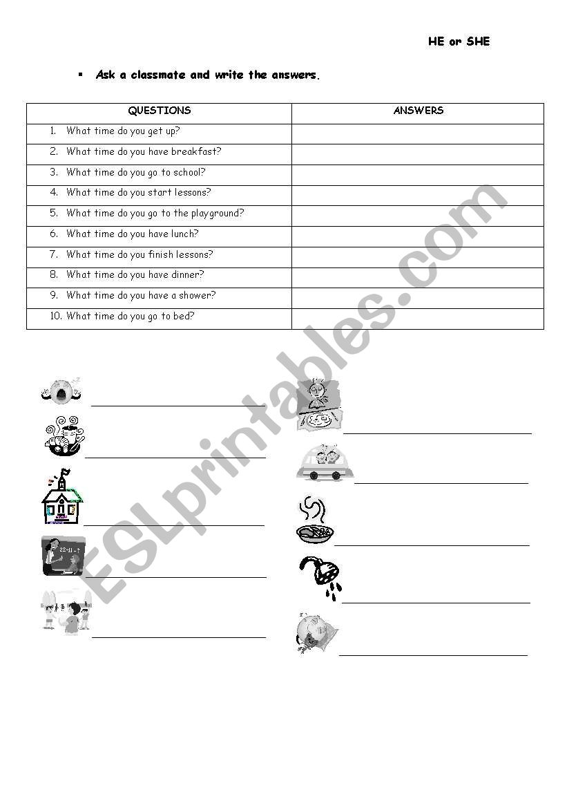 daily routines 3rd person worksheet