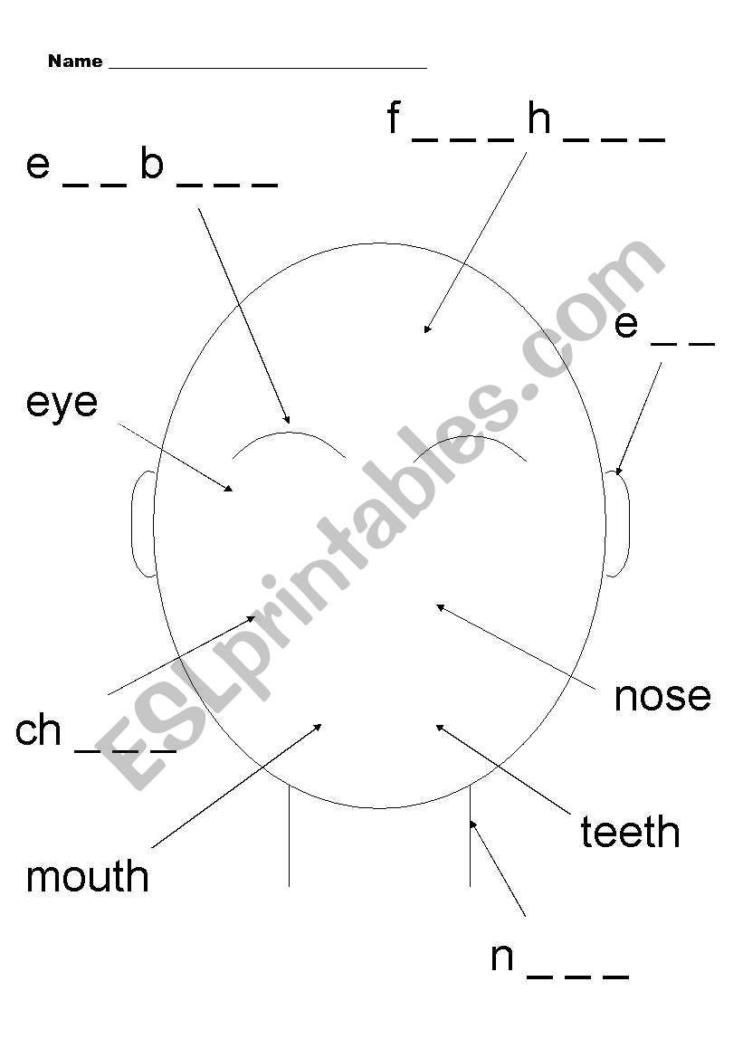 My face worksheet