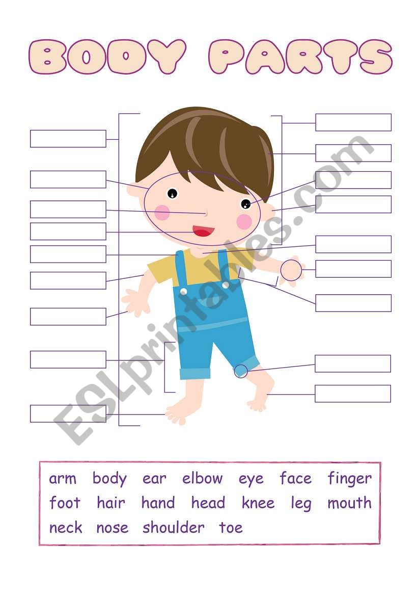 tracing-body-parts-worksheets-body-parts-esl-worksheet-by-jenyee