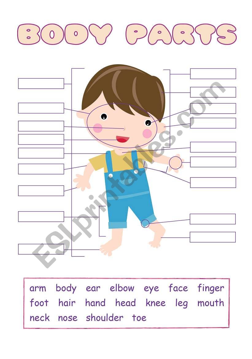 Body Parts worksheet