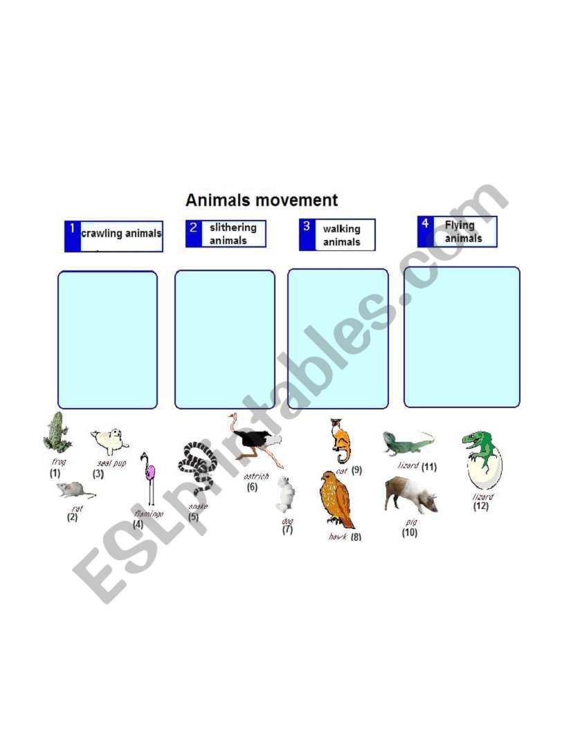 animals movement worksheet