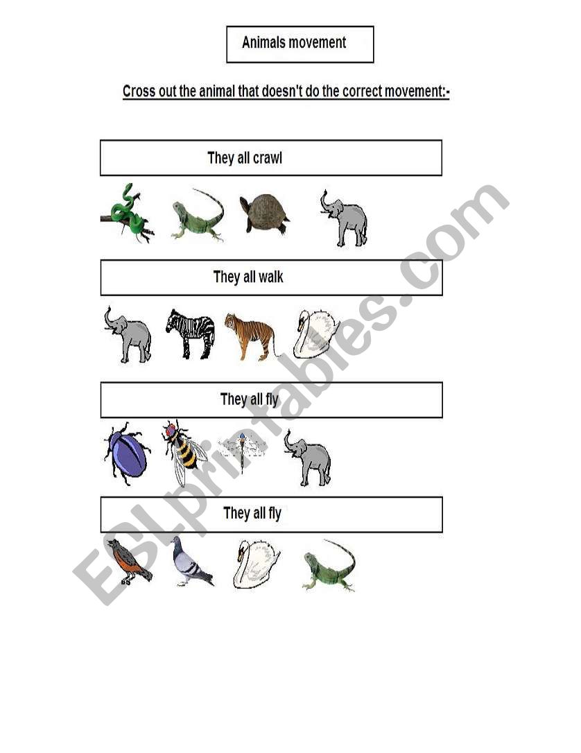 types of movement worksheet