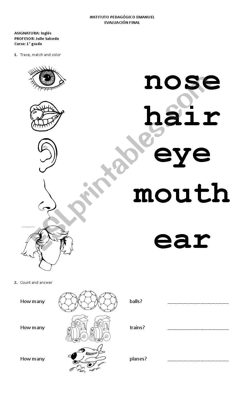 fruits, toys and body parts worksheet