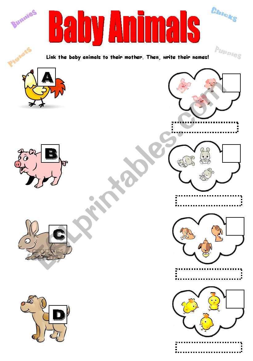 Baby Animals worksheet