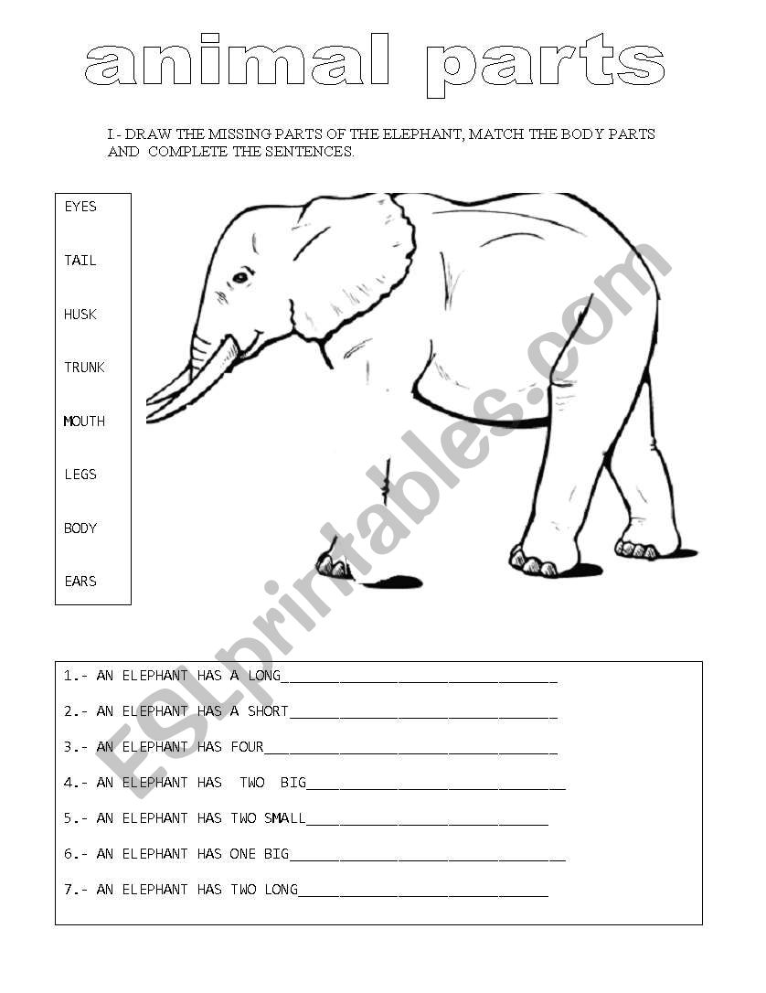ANIMAL PARTS worksheet