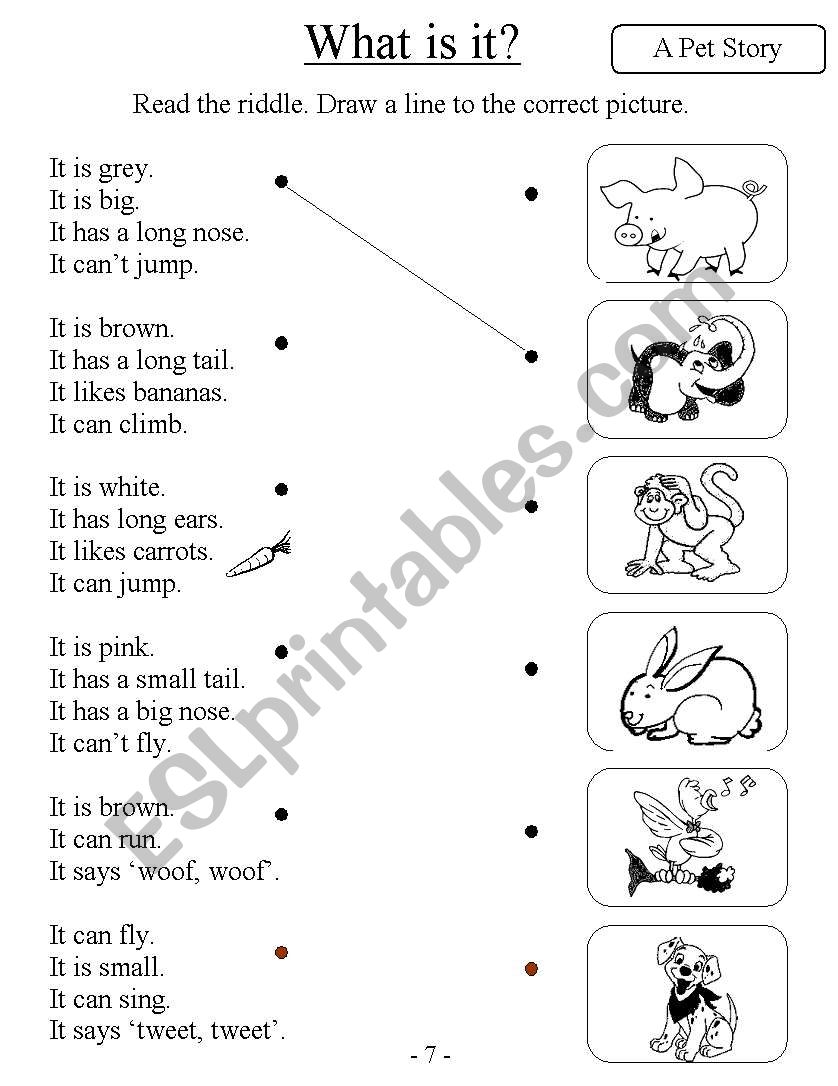 What is it? (Animals) worksheet