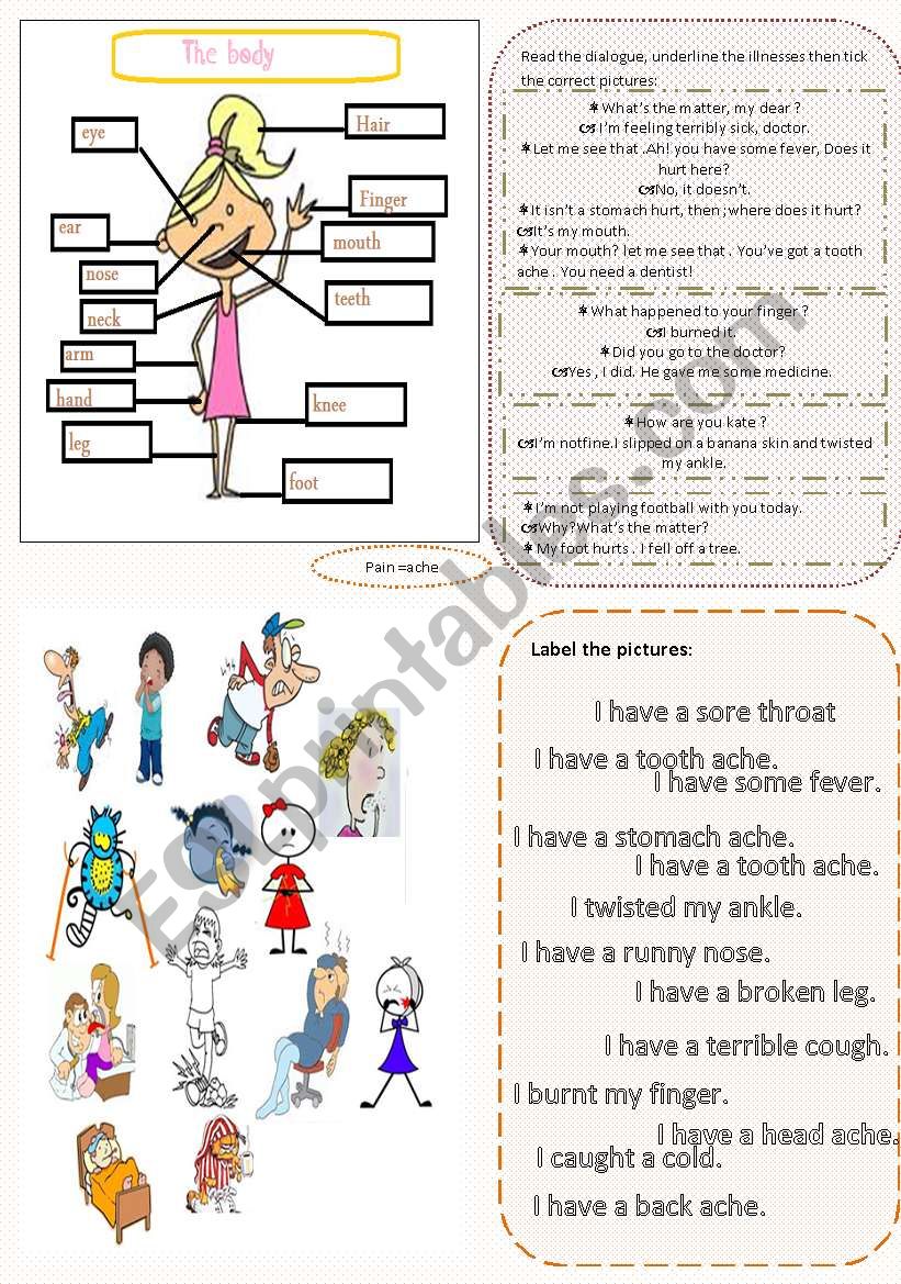 body and illnesses worksheet