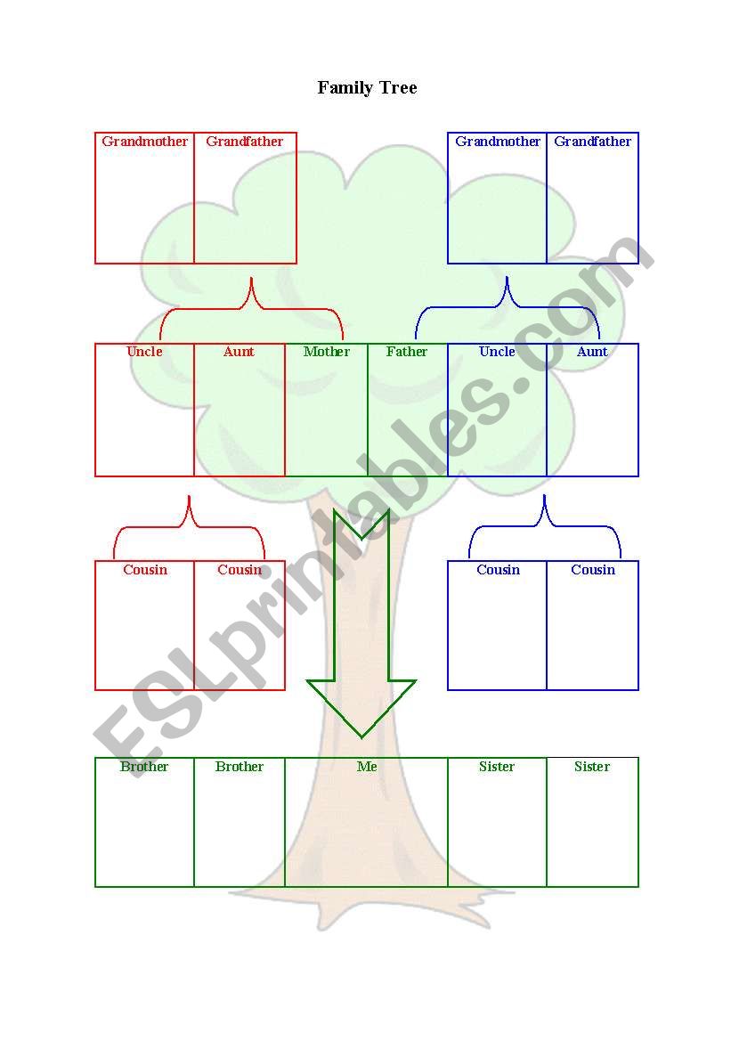 Family Tree Chart worksheet