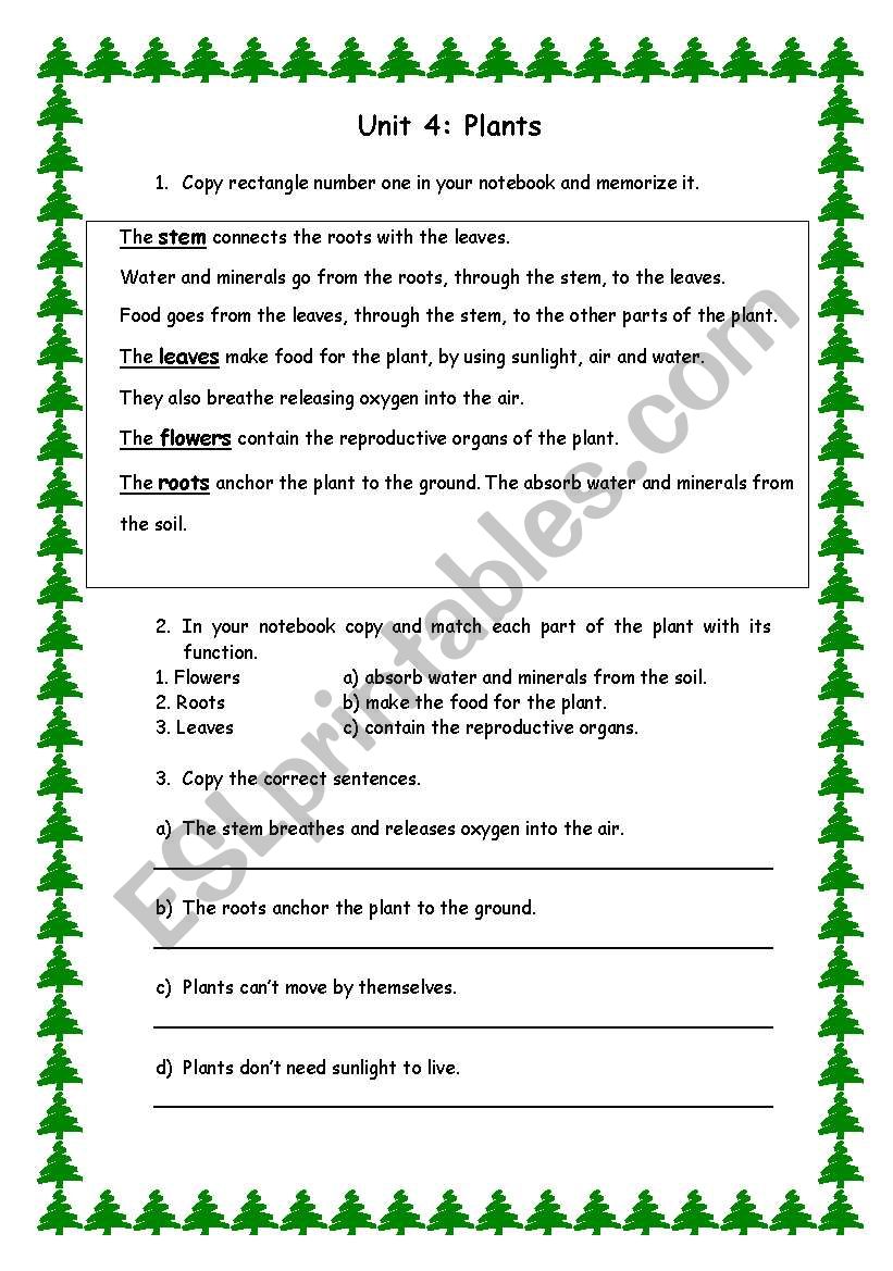 Plants worksheet