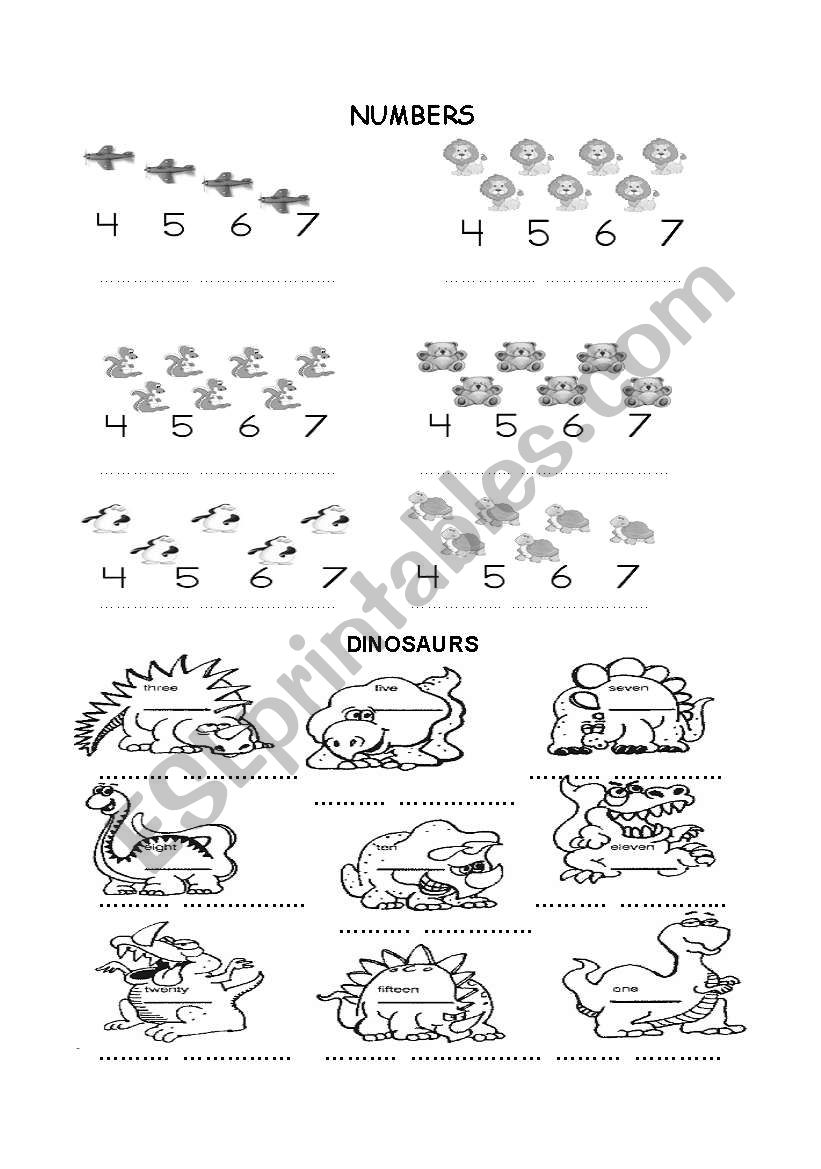 Numbers worksheet