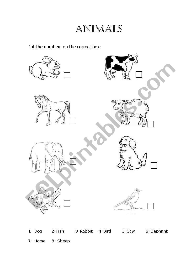 Animals worksheet