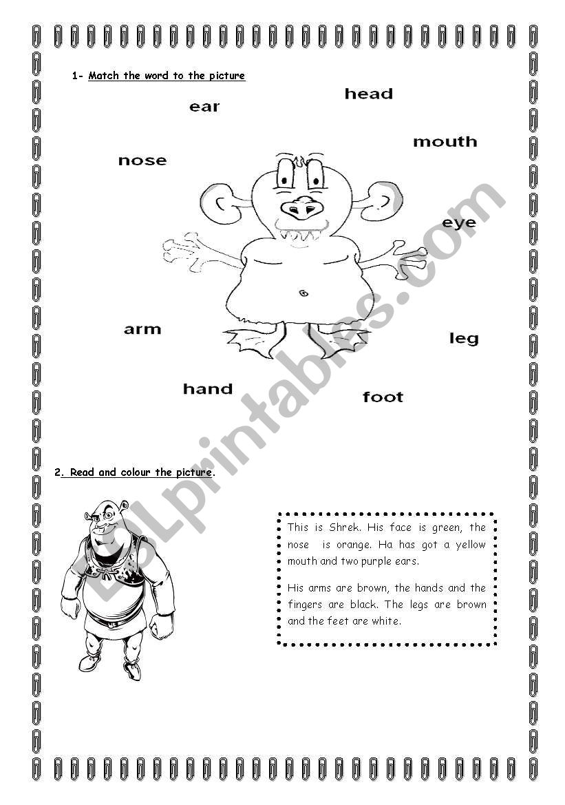 THE BODY AND FACE worksheet