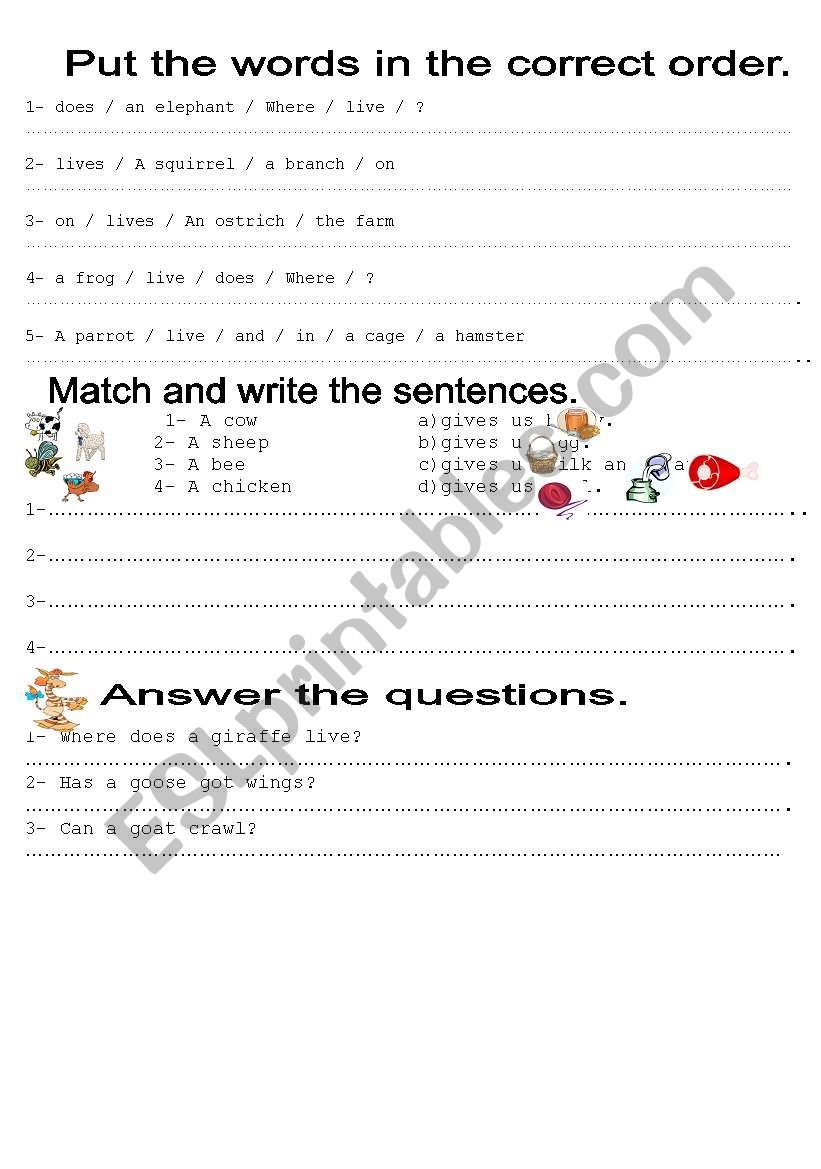 animals worksheet