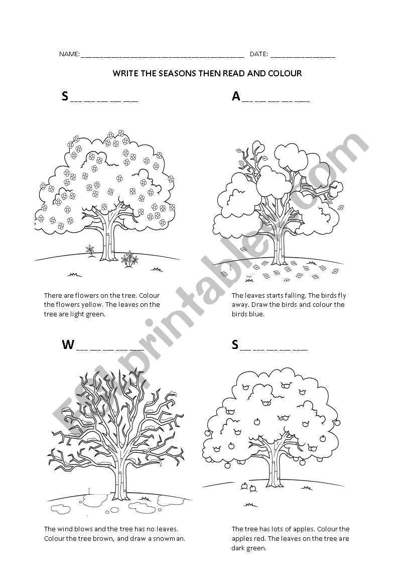 seasons worksheet