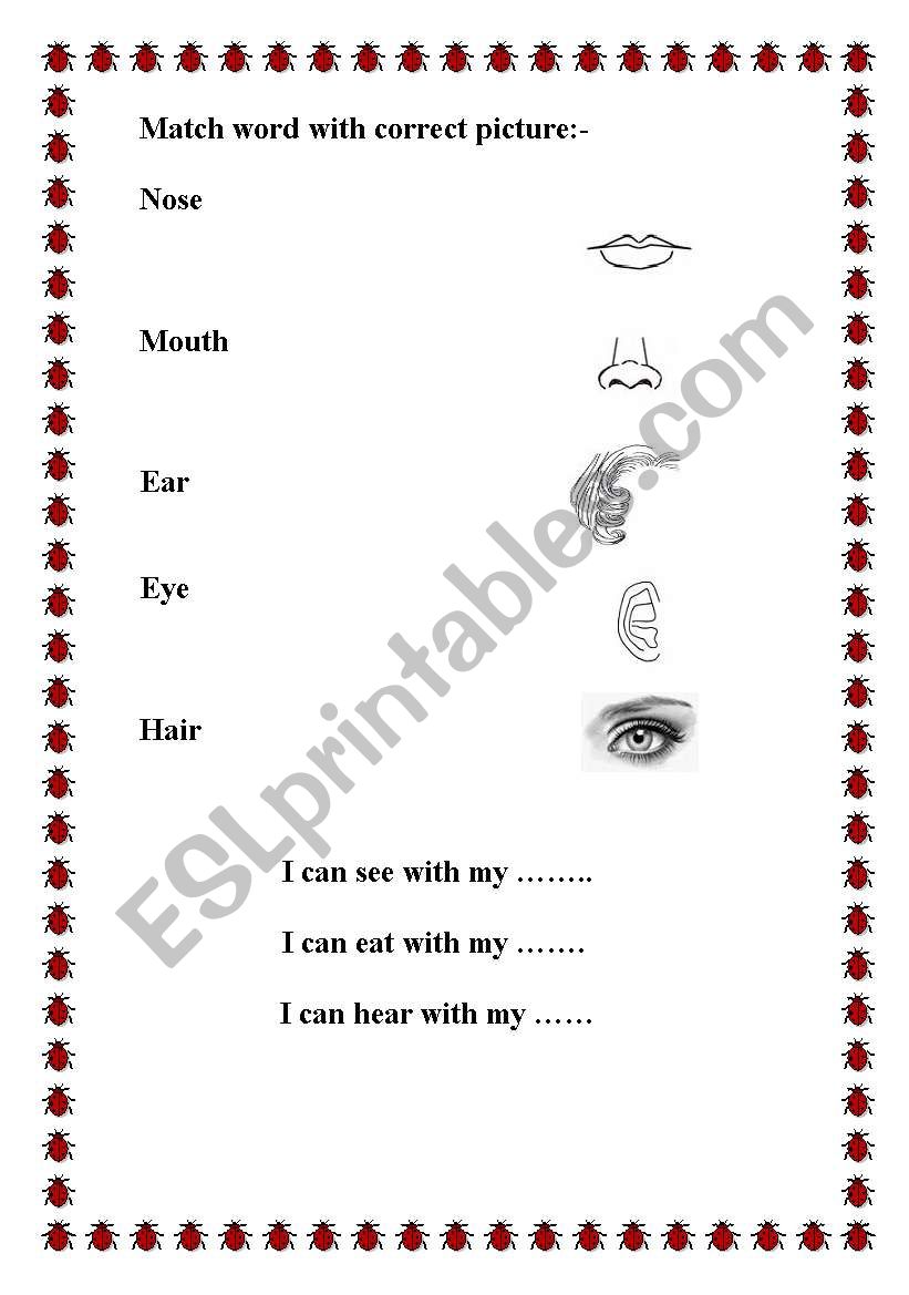 parts of the body worksheet